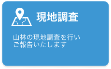 現地調査　山林の現地調査を行いご報告いたします