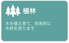 植林　木を植え育て、将来的に木材を売ります