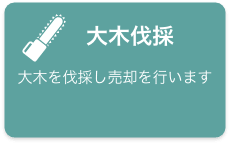 大木伐採　大木を伐採し売却を行います